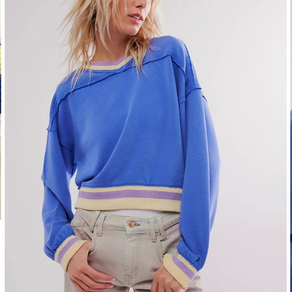 Free People Blue and Lavender Knit Top
